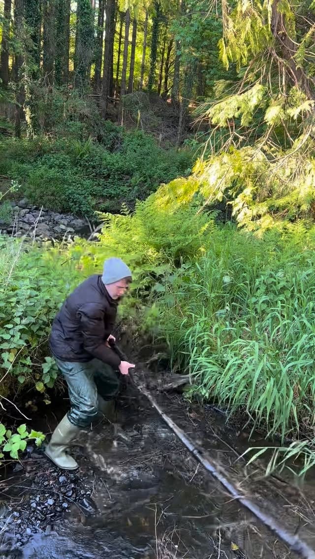 Post 3 by Davy on Instagram (video)