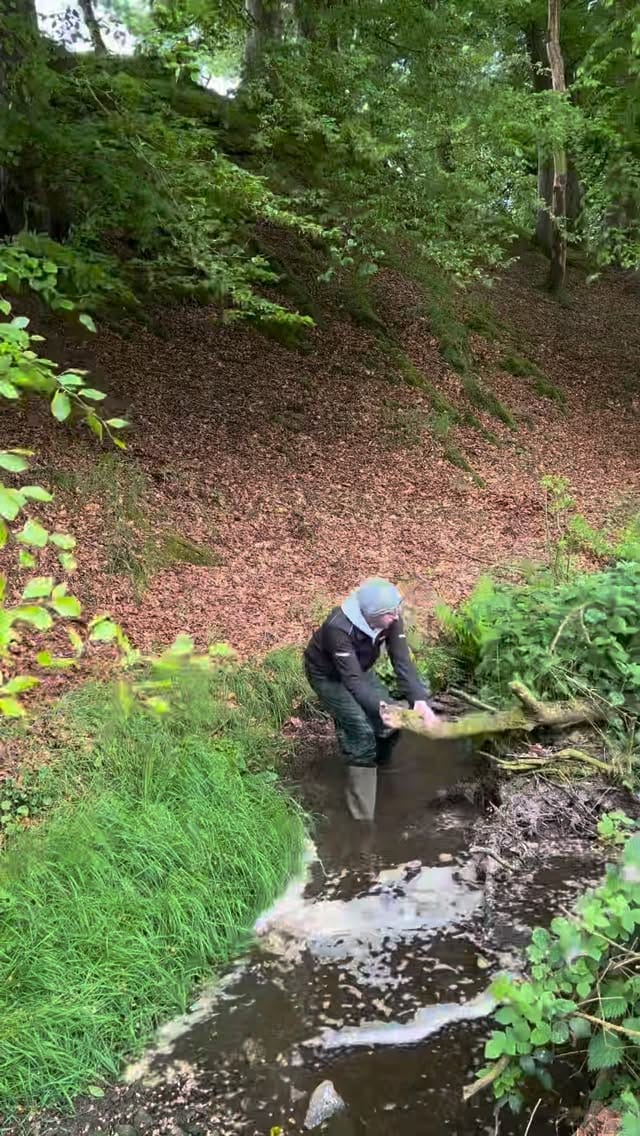 Post 5 by Davy on Instagram (video)