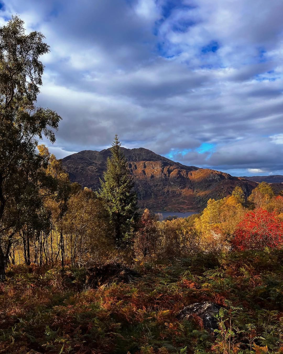 Post 8 by ScottishImages on Instagram (image)
