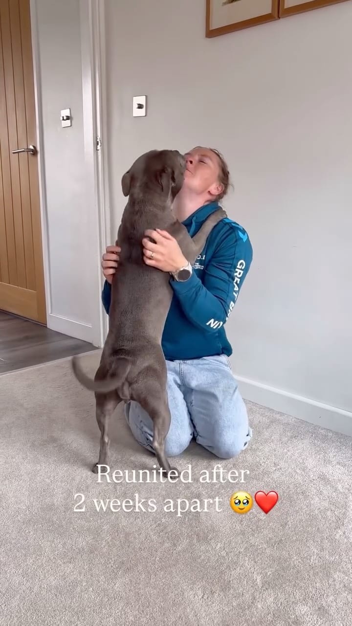 Post 4 by Bella the Beaut Blue 💖 on Instagram (video)