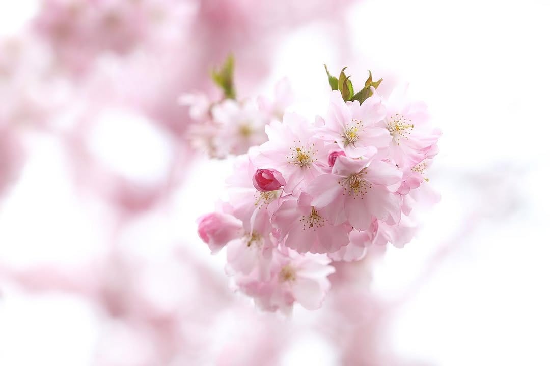 Post 4 by Nature & Wildlife Photography on Instagram (image)