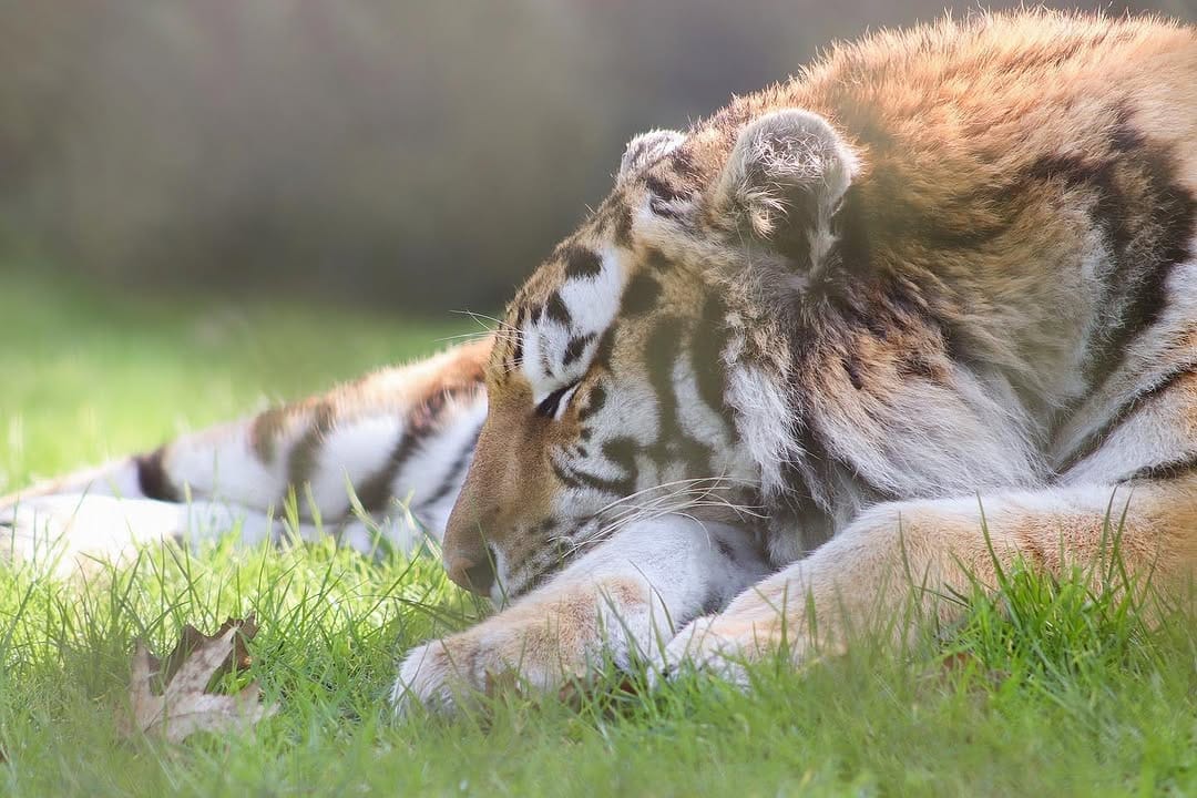 Post 7 by Nature & Wildlife Photography on Instagram (image)