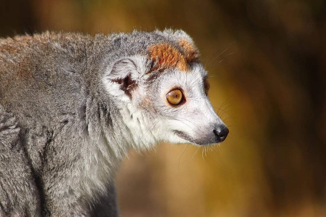 Post 2 by Nature & Wildlife Photography on Instagram (image)