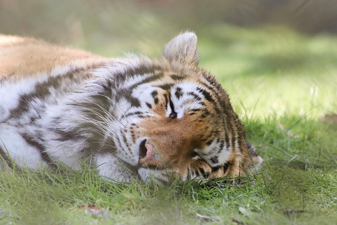 Post 9 by Nature & Wildlife Photography on Instagram (image)