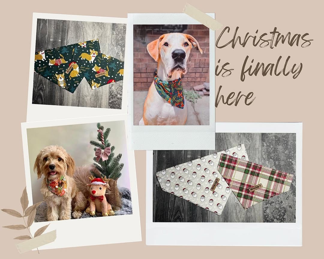 Post 9 by Wolf Pack Designs Co. on Instagram (carousel)