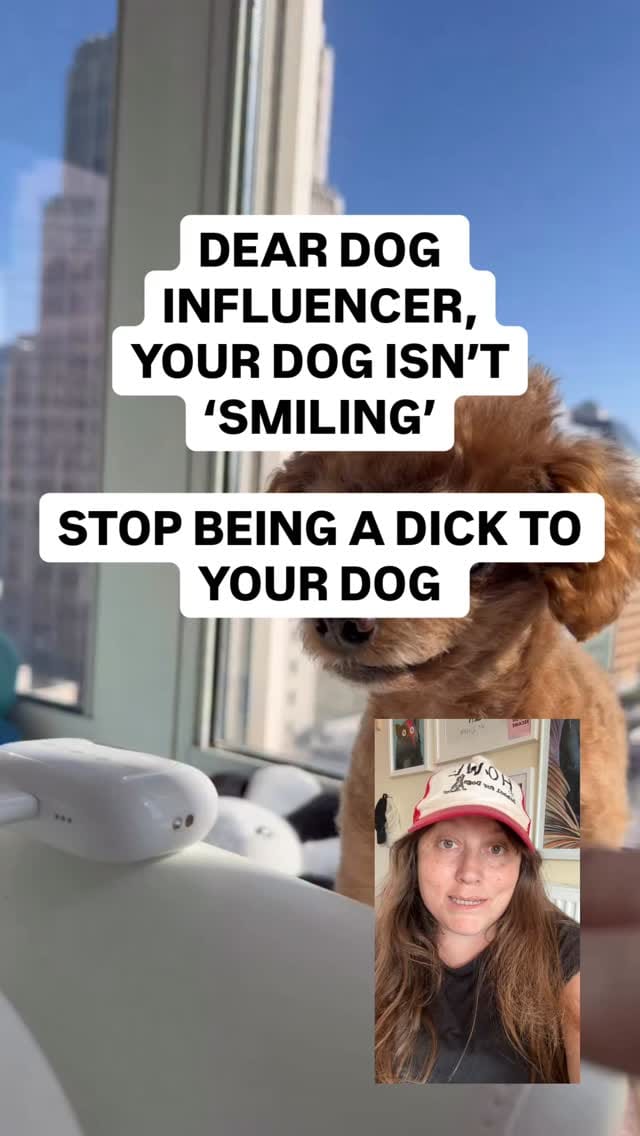 Post 8 by London Dog Training & Behaviour - Howl School for Dogs on Instagram (video)