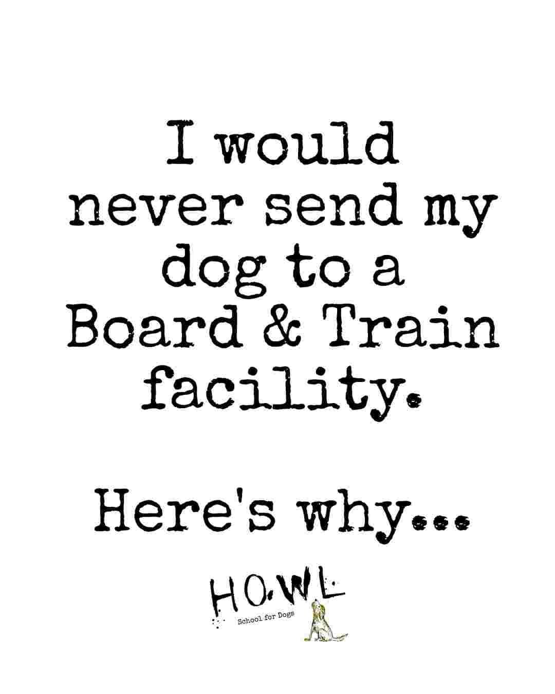 Post 9 by London Dog Training & Behaviour - Howl School for Dogs on Instagram (carousel)