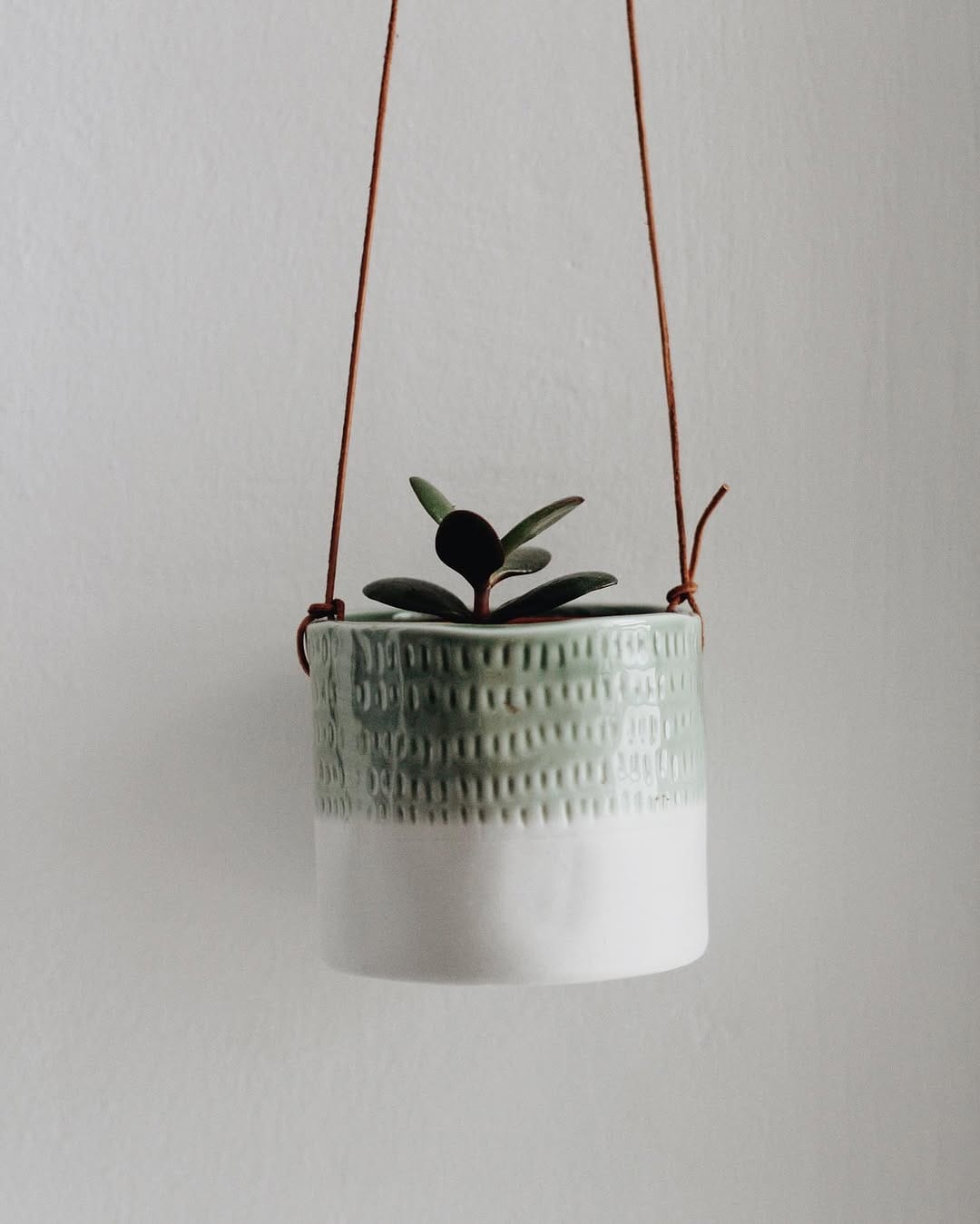 Post 5 by Charlotte Agnew on Instagram (image)