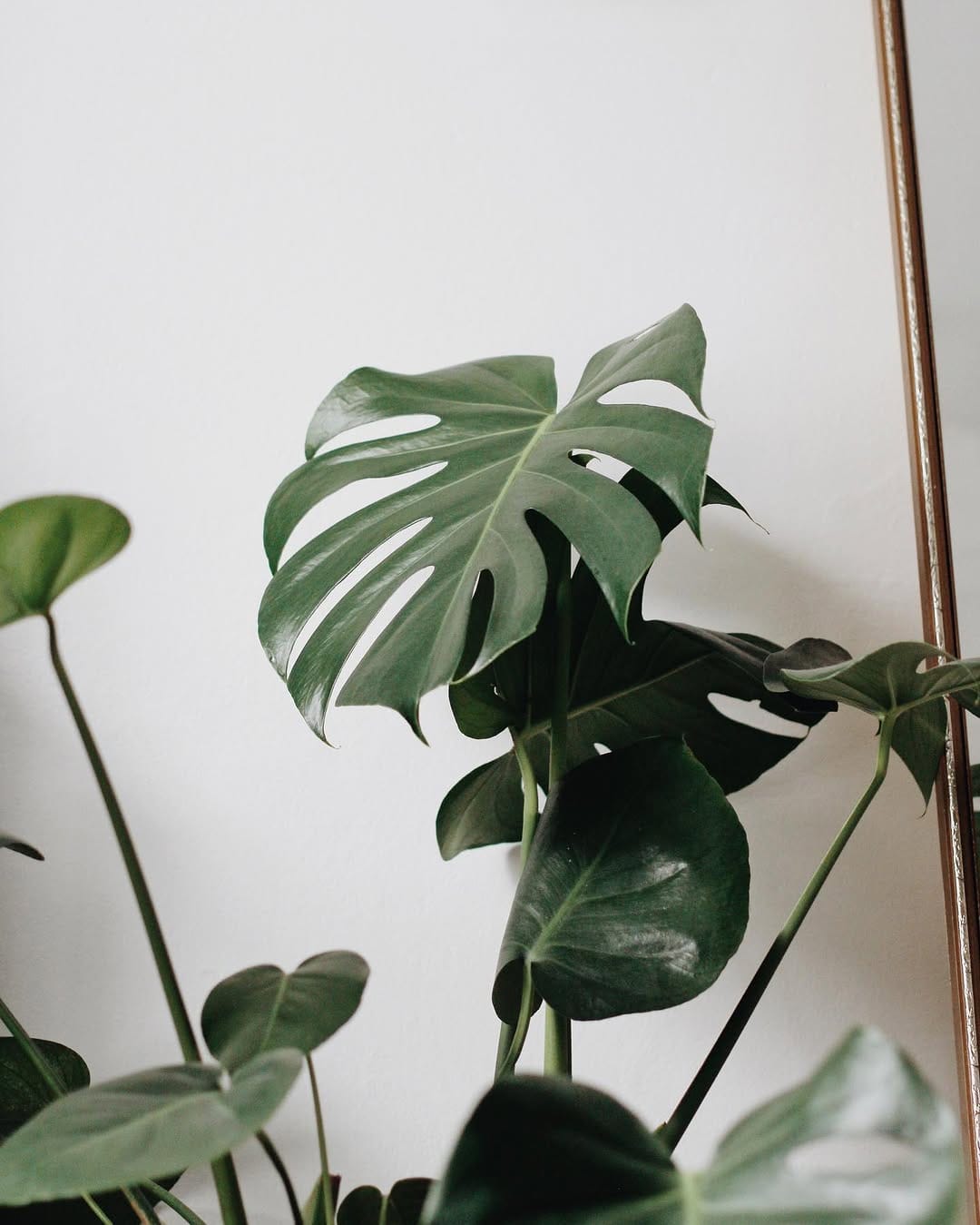 Post 3 by Charlotte Agnew on Instagram (image)