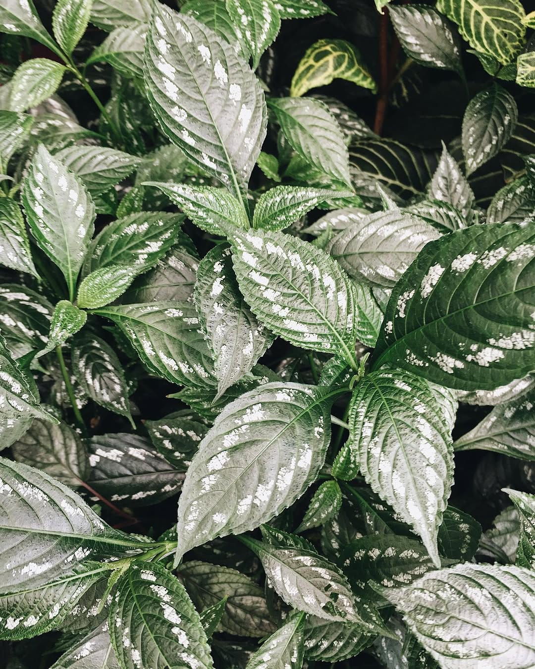 Post 6 by Charlotte Agnew on Instagram (image)