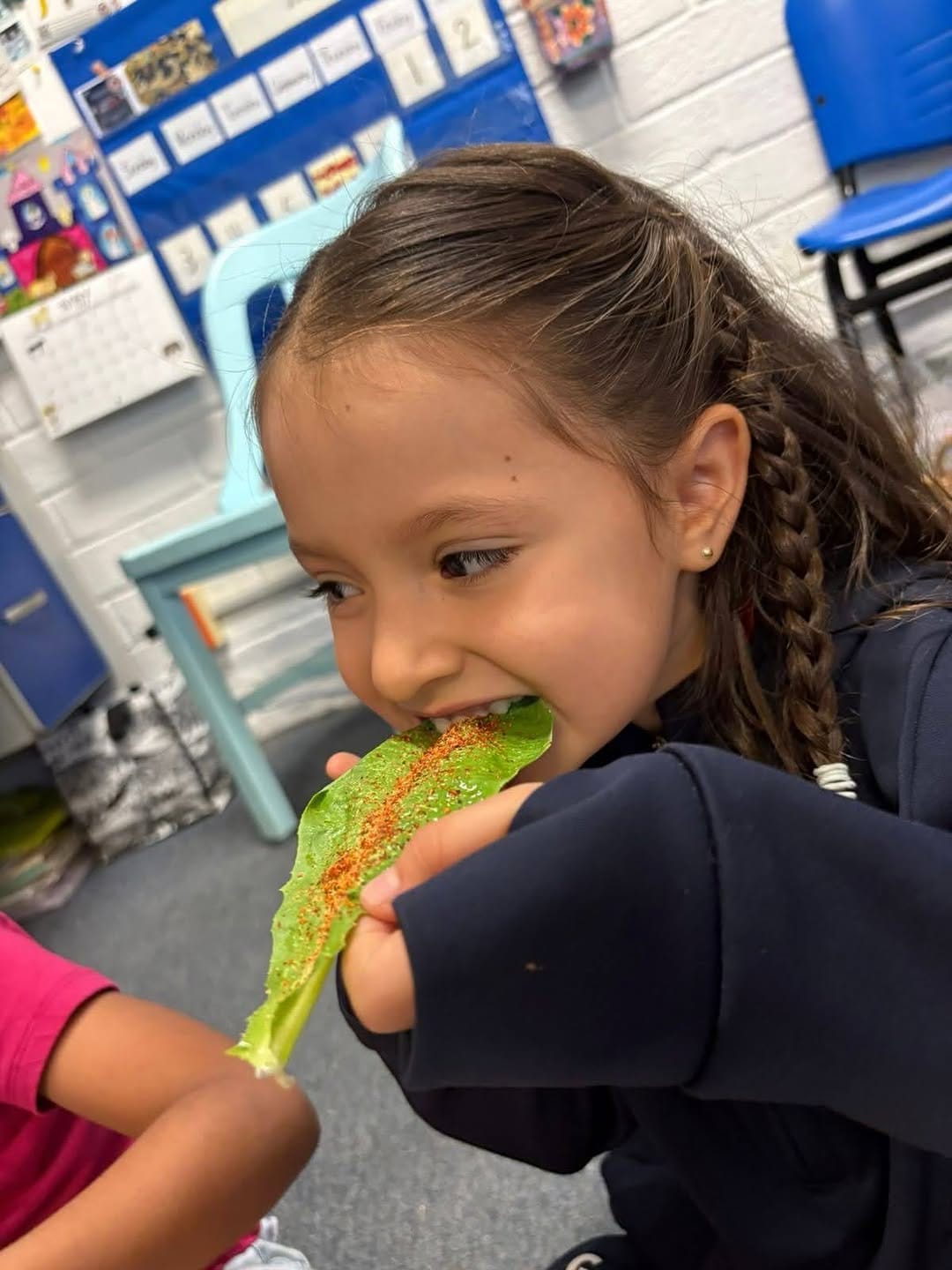 Post 3 by The American School Foundation of Guadalajara, A.C. on Instagram (carousel)