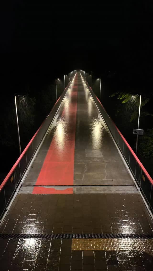 Post 2 by Rokas Neniškis on Instagram (video)