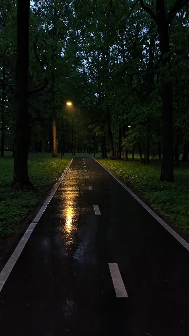 Post 1 by Rokas Neniškis on Instagram (video)