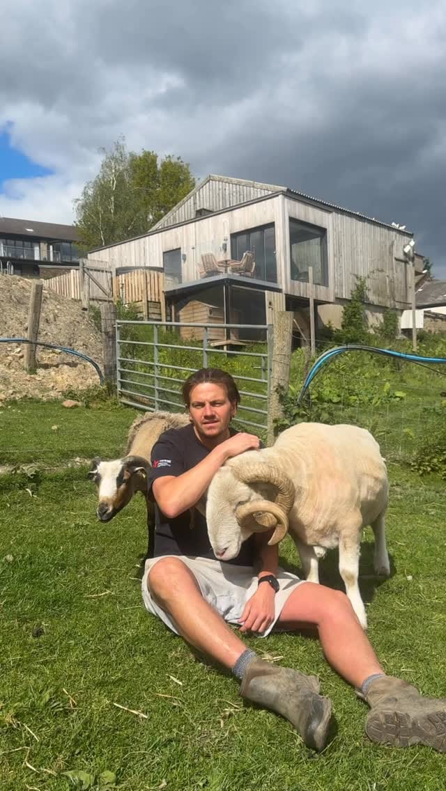 Post 5 by Millington's Magical Barn 🐷🐮🐔🐴 on Instagram (video)