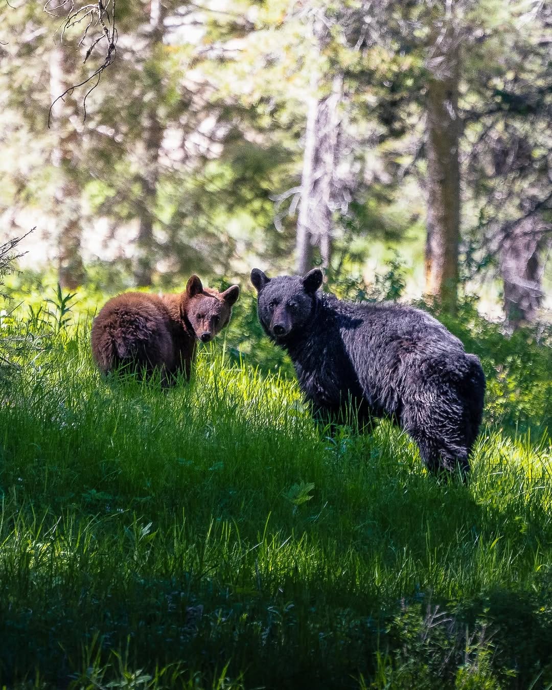 Post 1 by Quinn | Travel & Adventure Photography on Instagram (image)