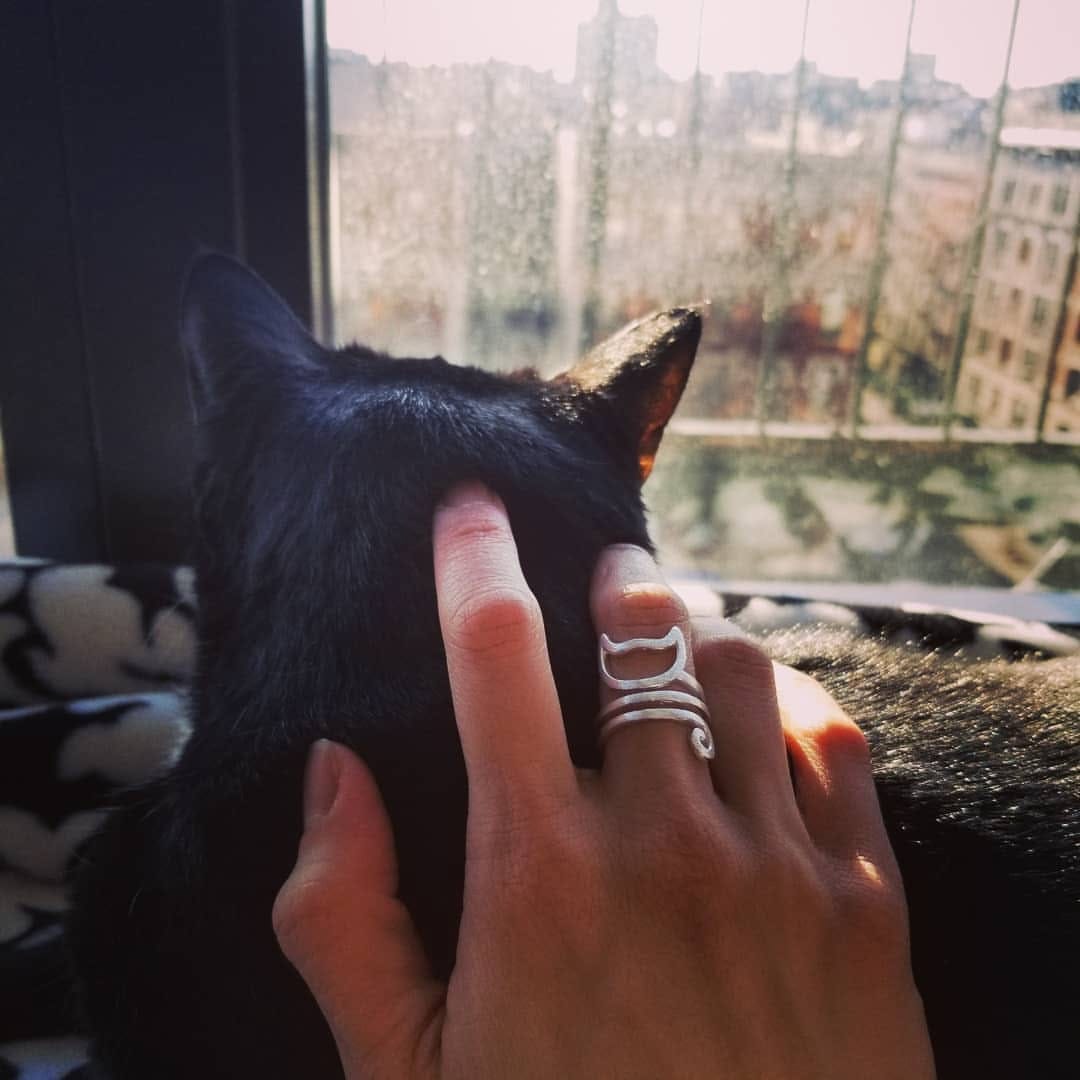 Post 6 by Cat Rescue Rings on Instagram (image)