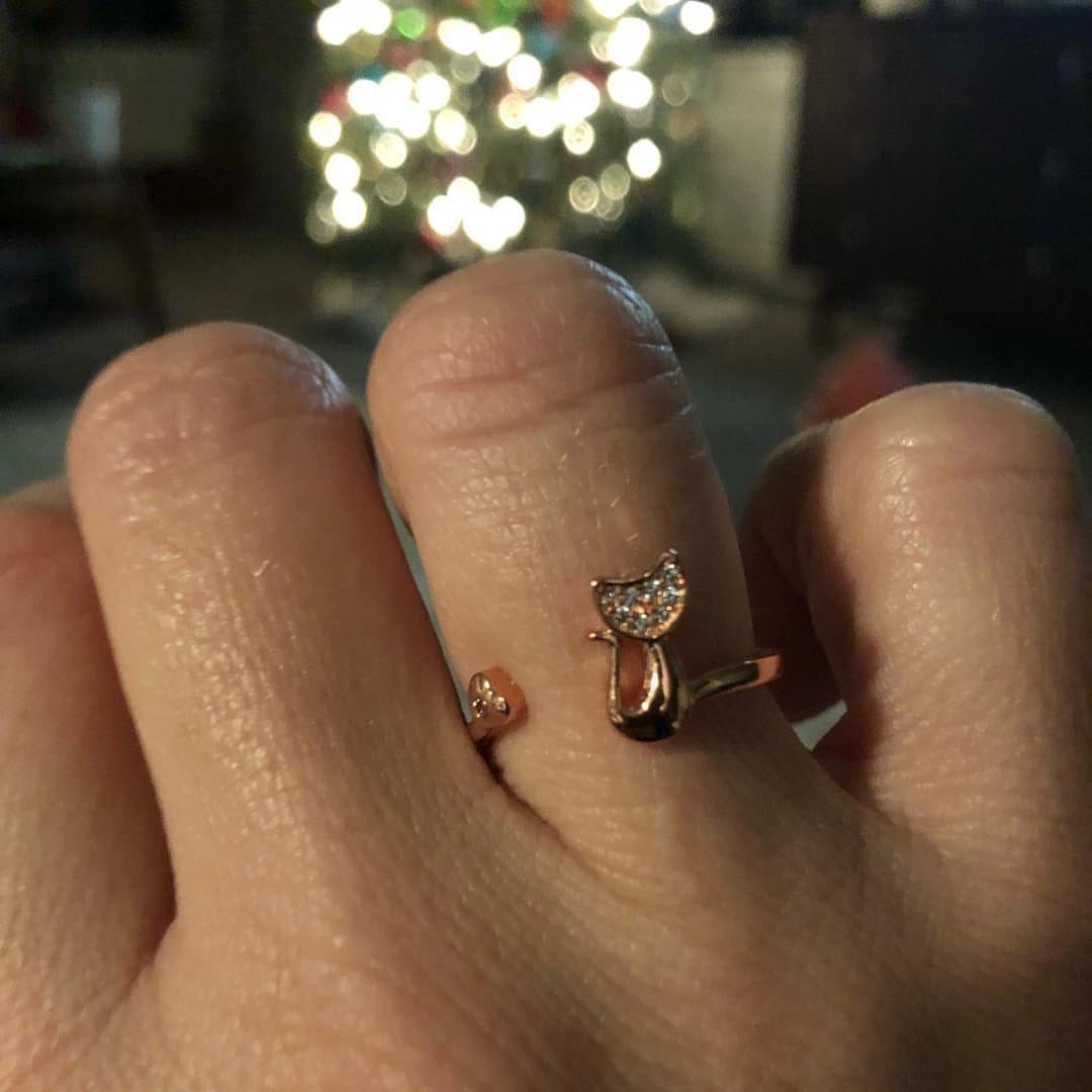 Post 9 by Cat Rescue Rings on Instagram (image)