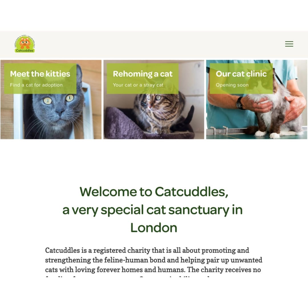 Post 7 by Cat Rescue Rings on Instagram (carousel)