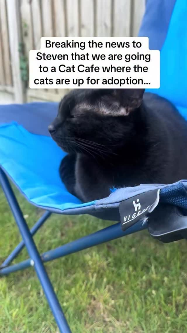 Post 1 by Java Whiskers UK on Instagram (video)