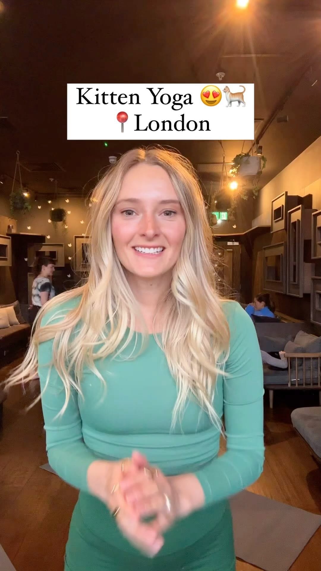 Post 9 by Java Whiskers UK on Instagram (video)