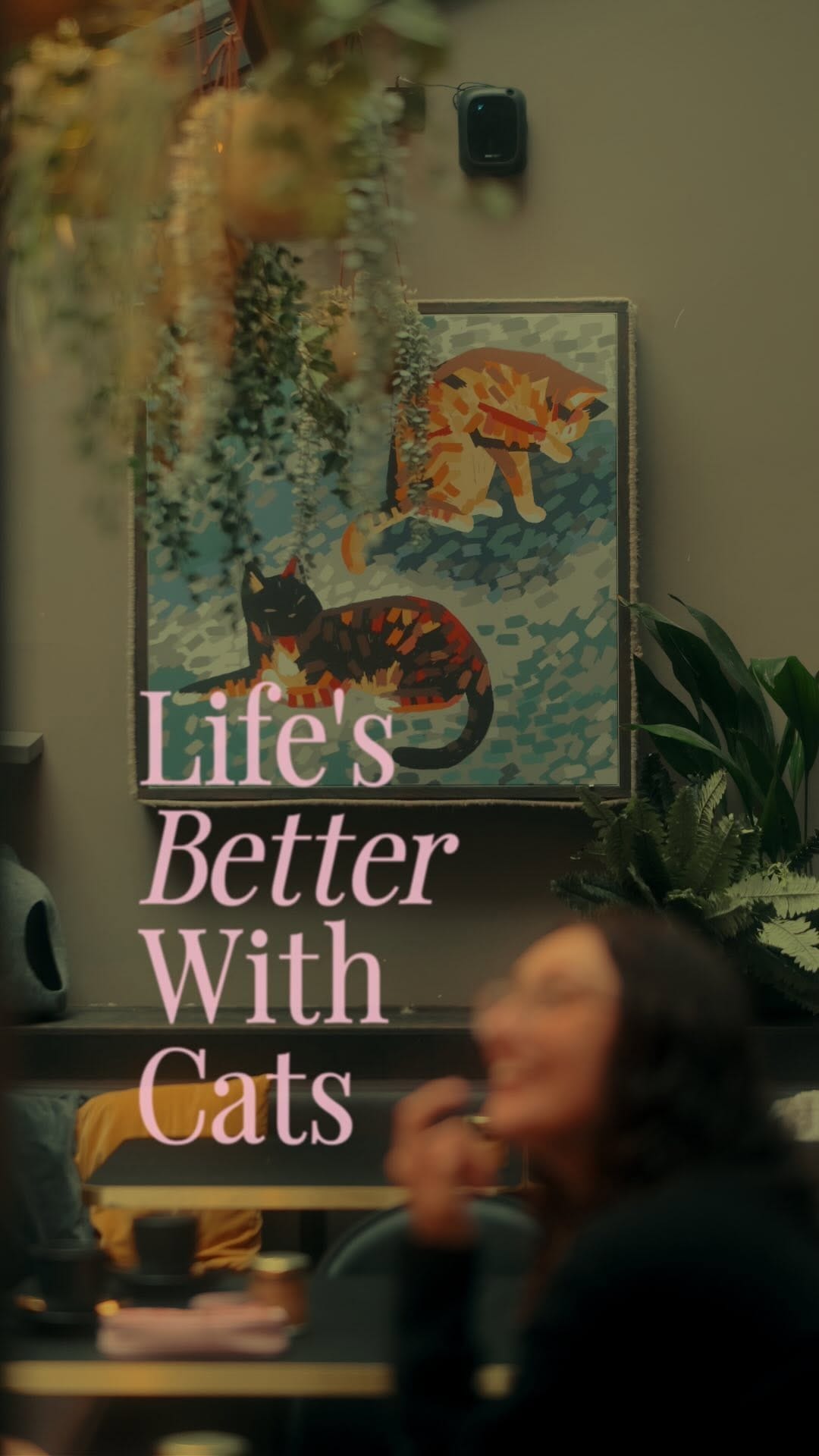 Post 10 by Java Whiskers UK on Instagram (video)