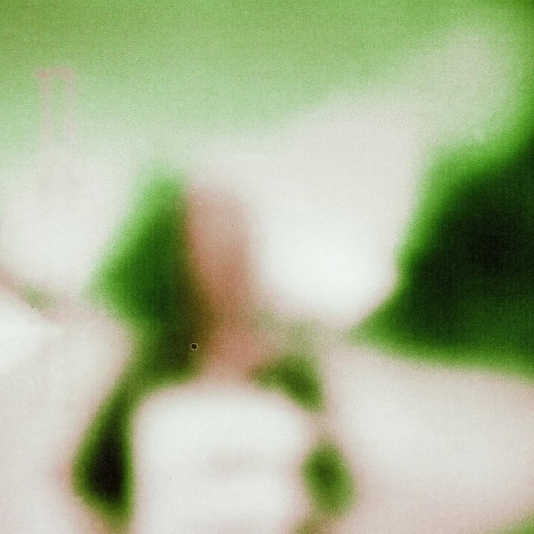 Post 5 by DOTHA on Instagram (image)