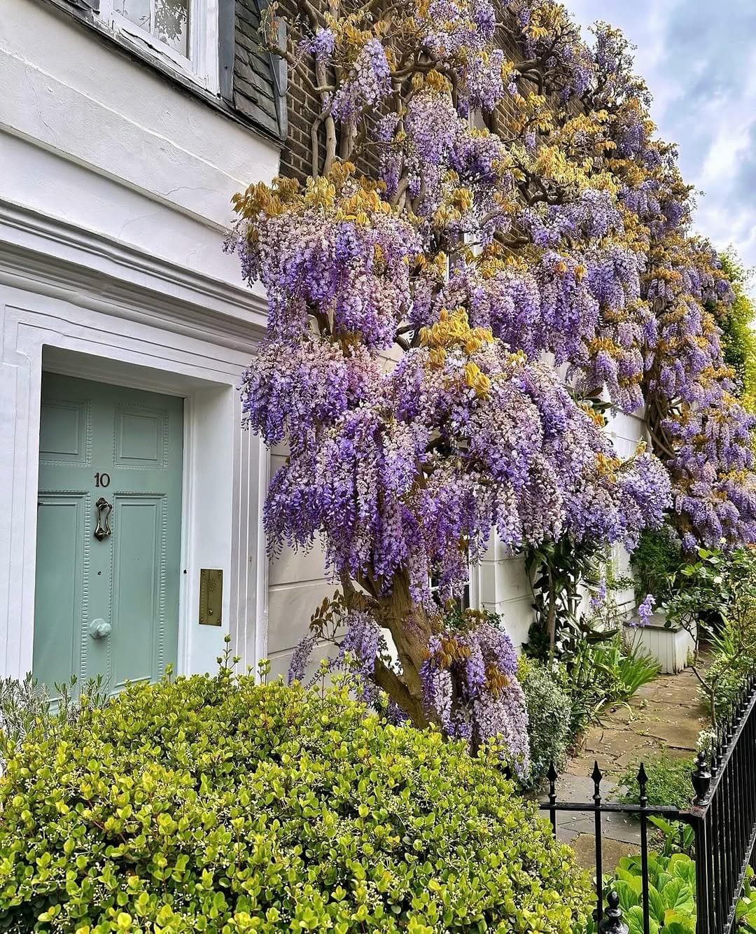Post 8 by Yasmin | London 🇬🇧 on Instagram (image)