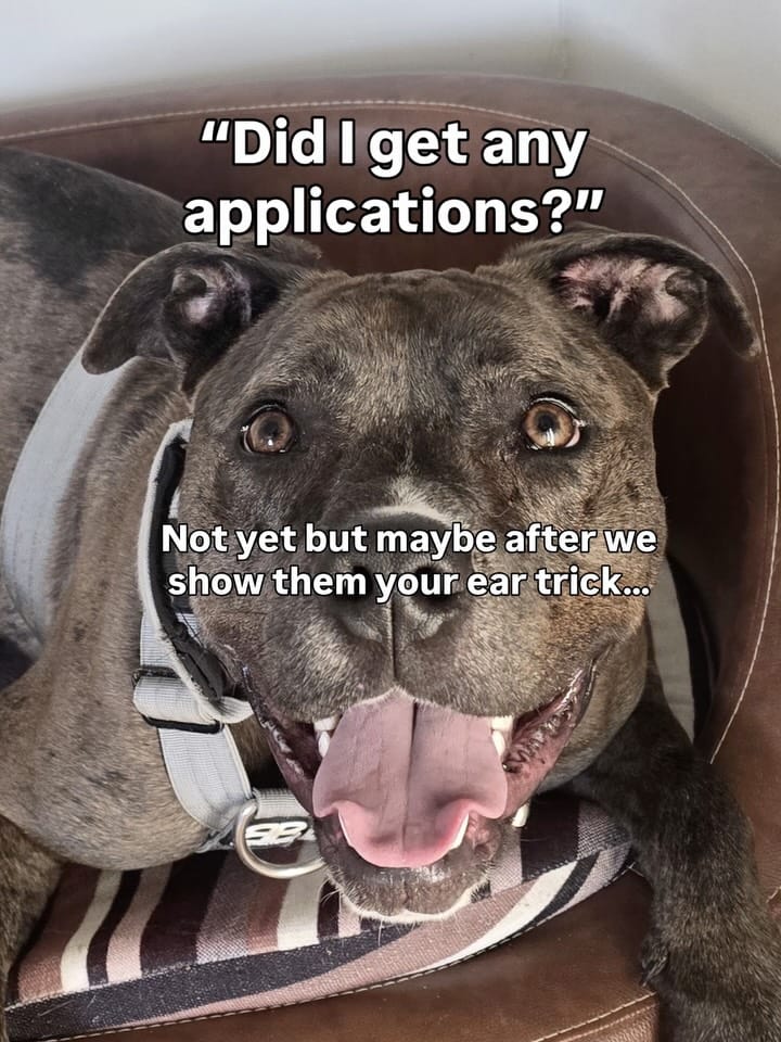 Post 10 by Scottish SPCA 🐾 on Instagram (carousel)
