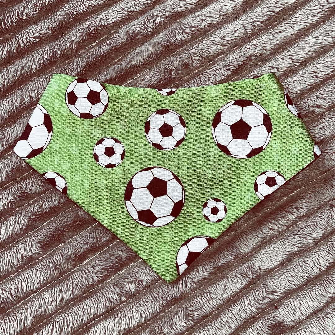 Post 1 by Dog Bowties & Bandanas on Instagram (image)