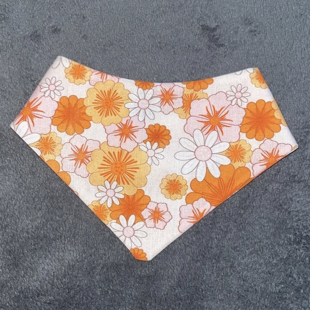 Post 7 by Dog Bowties & Bandanas on Instagram (image)