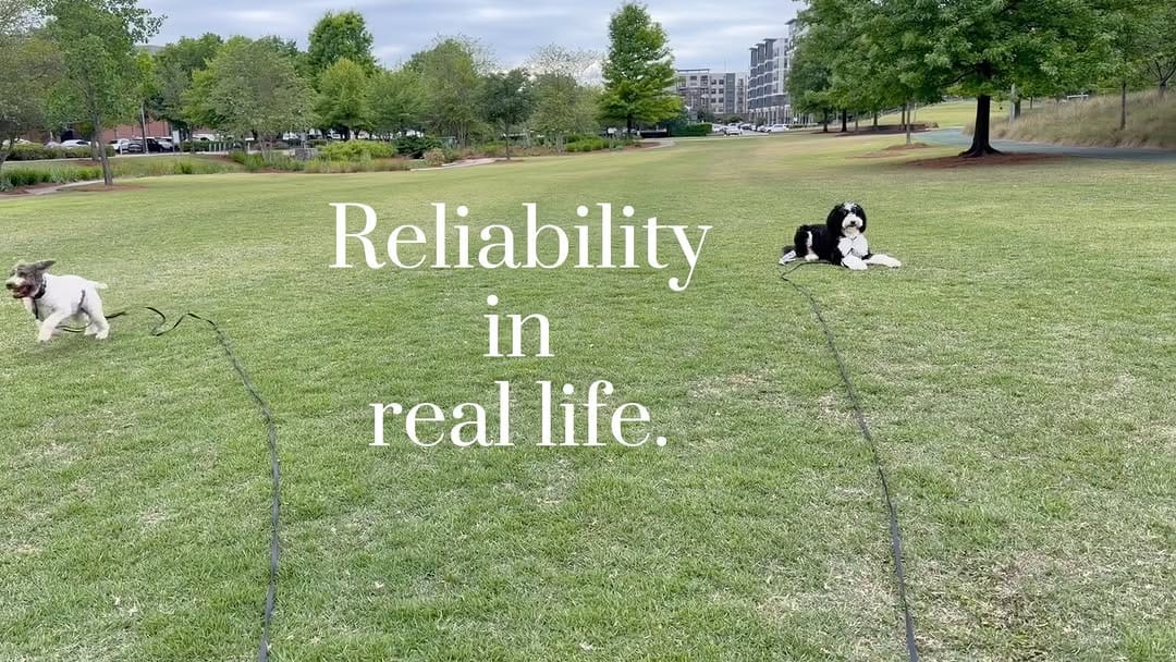 Post 3 by We Talk Dog on Instagram (video)