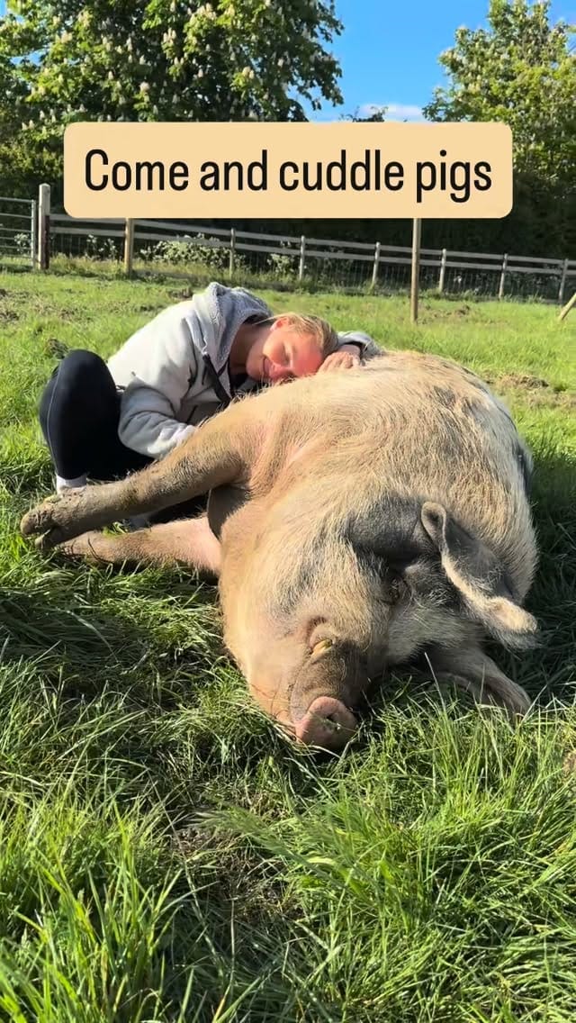 Post 2 by Vegan Glamping, Cambridge Uk on Instagram (video)