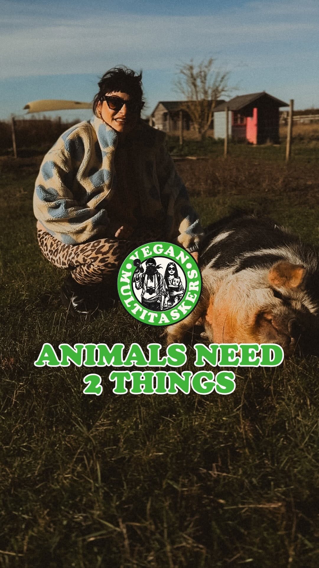 Post 7 by Vegan Glamping, Cambridge Uk on Instagram (video)