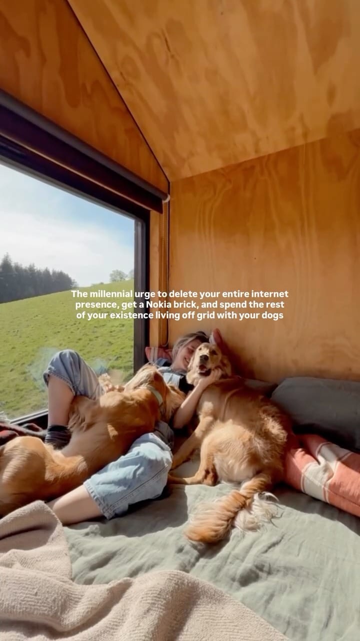 Post 6 by Shacks on Instagram (video)