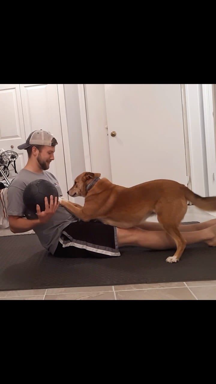 Post 10 by Chelsea the Dog on Instagram (video)