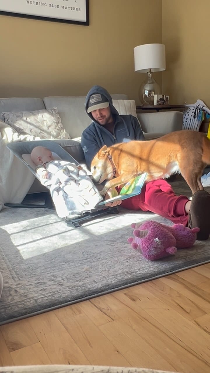 Post 9 by Chelsea the Dog on Instagram (video)