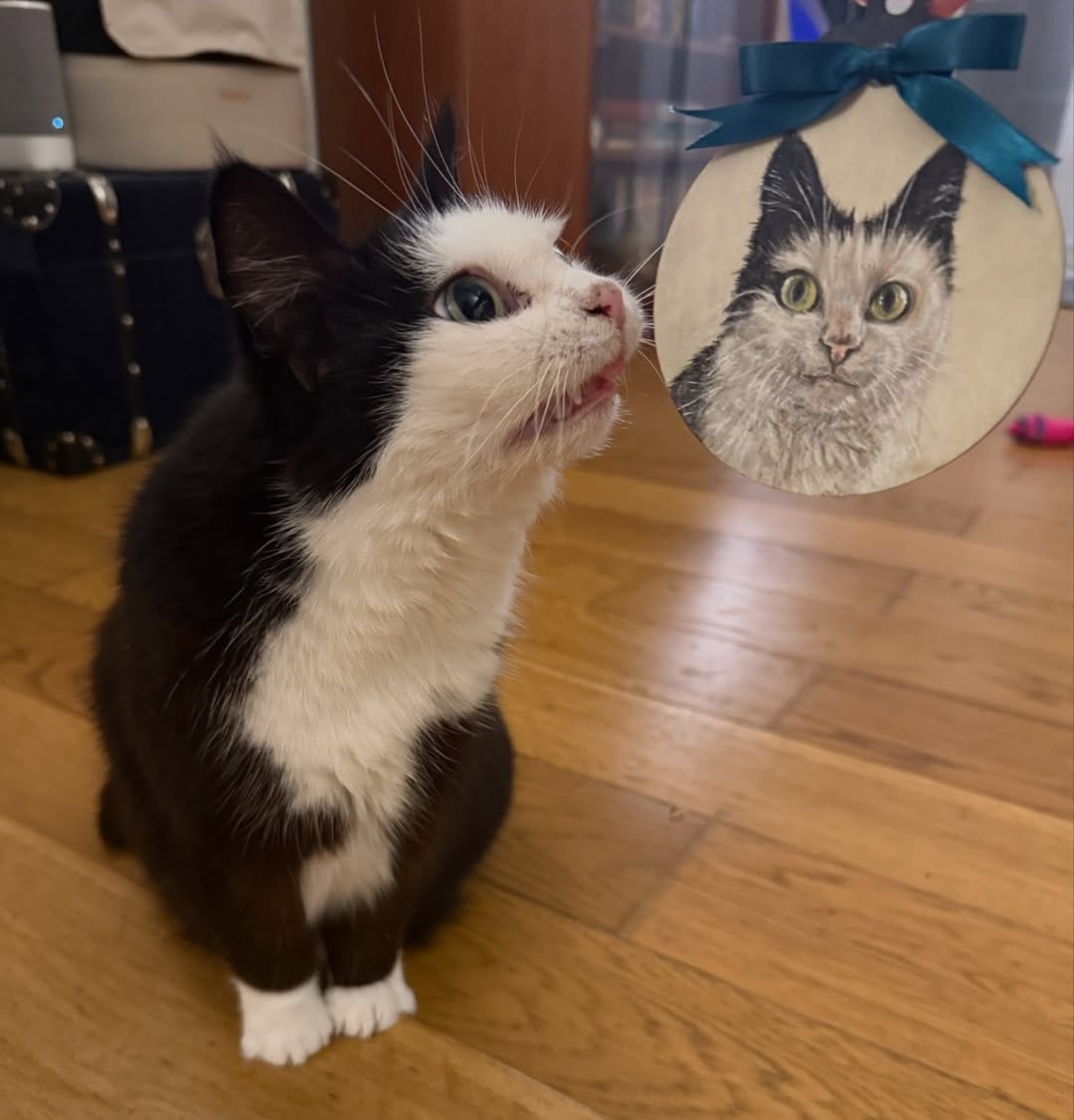 Post 7 by Mau Mau the Cartoon Cat on Instagram (carousel)