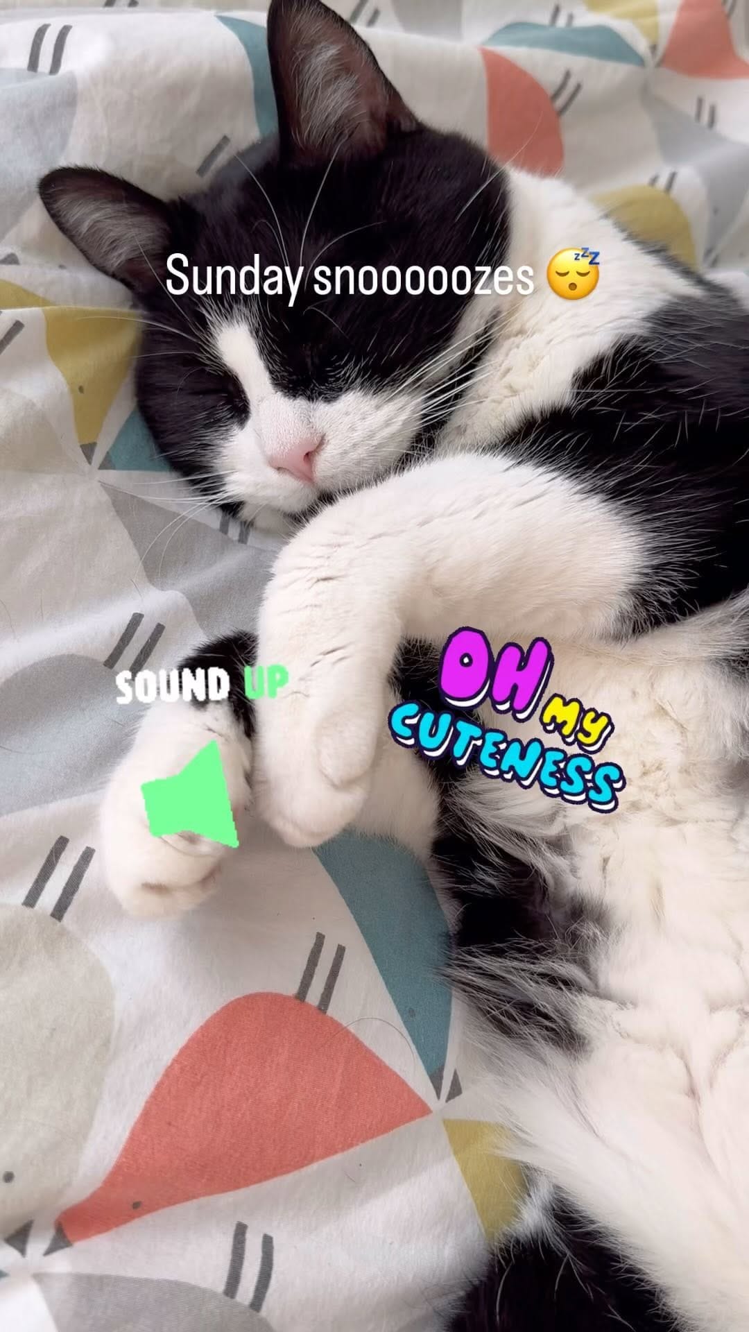 Post 8 by Cosmo on Instagram (video)