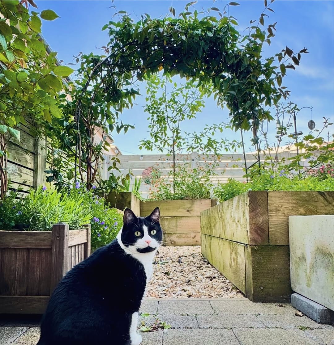 Post 7 by Cosmo on Instagram (image)