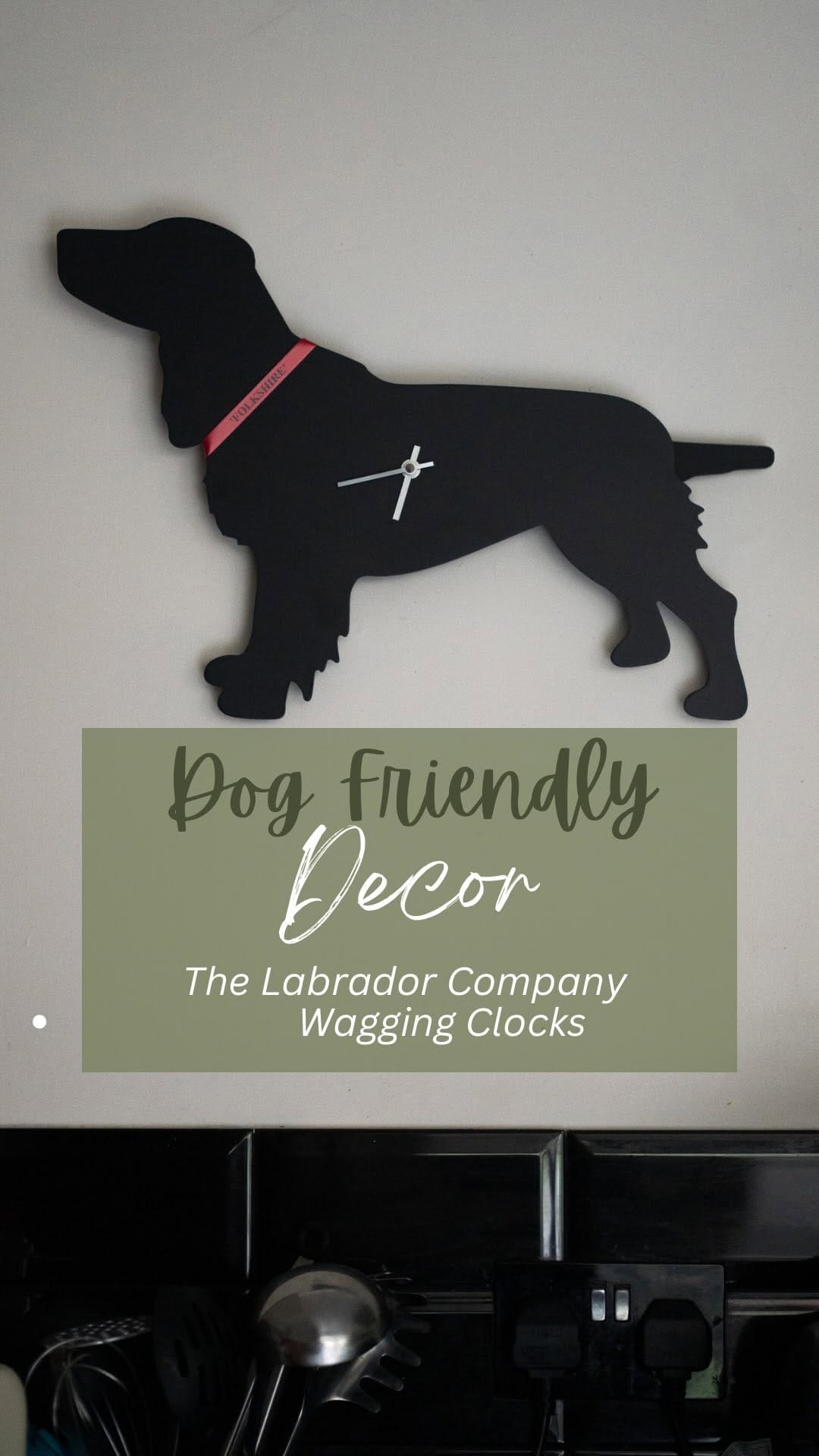 Post 5 by The Labrador Company on Instagram (video)