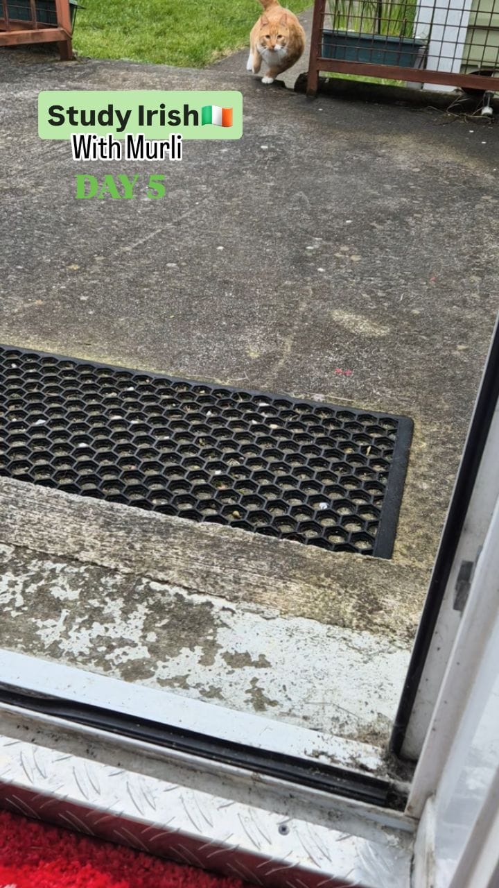 Post 2 by Murli McGuinness on Instagram (video)