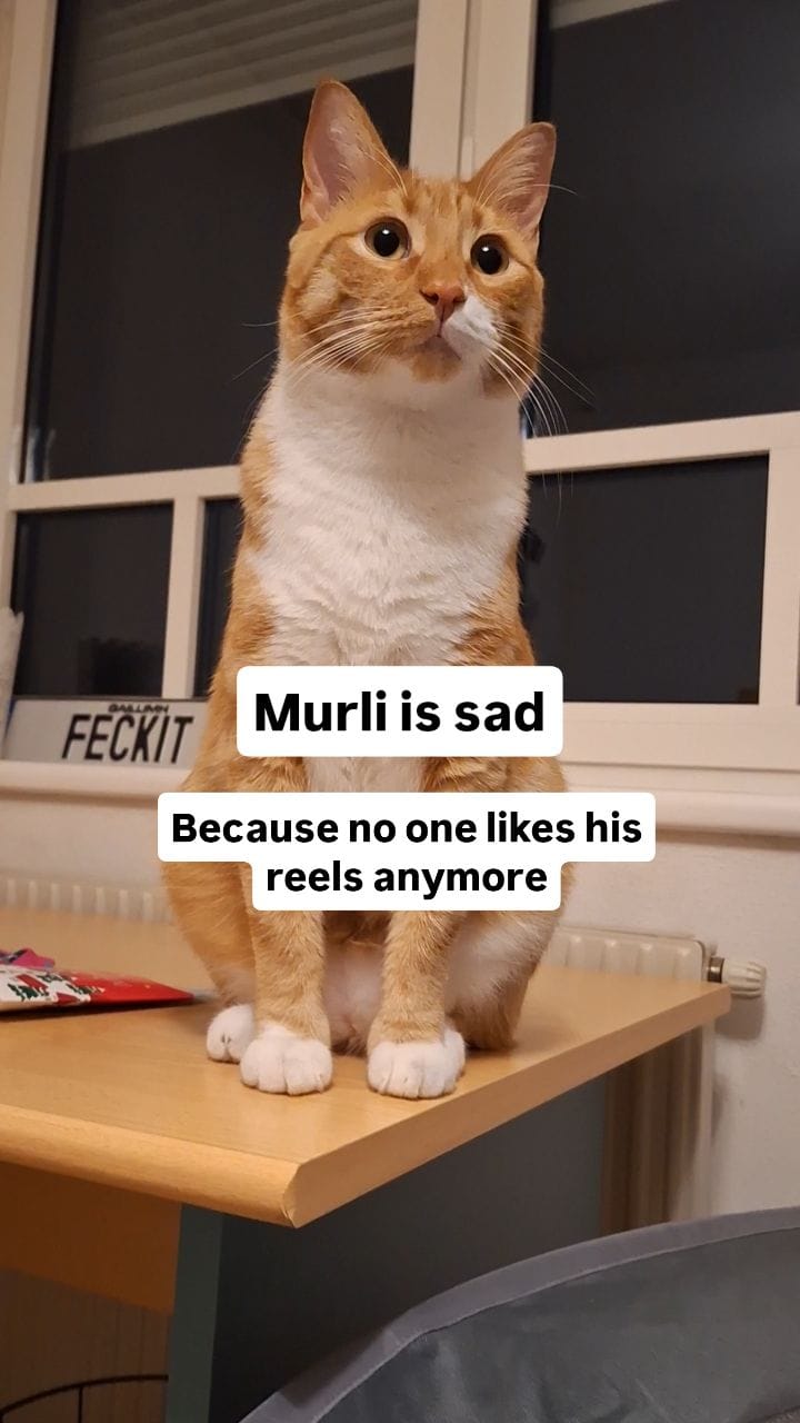 Post 3 by Murli McGuinness on Instagram (video)