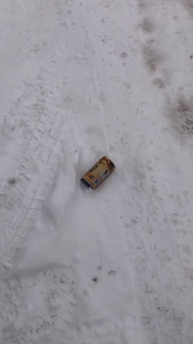 Post 1 by TokuteiGinou - Hokkaido on Instagram (video)