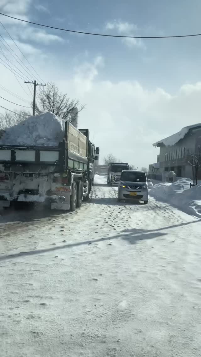 Post 5 by TokuteiGinou - Hokkaido on Instagram (video)