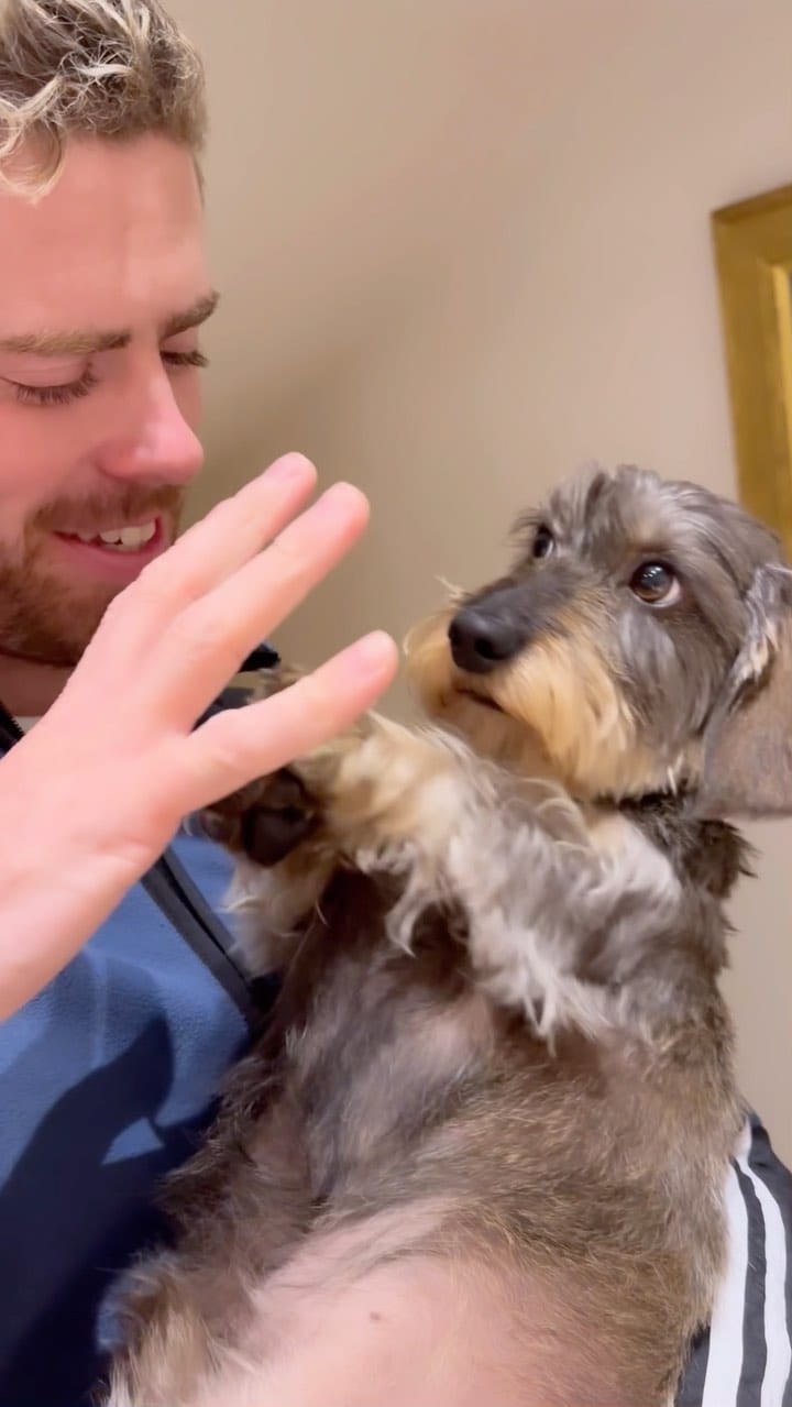 Post 8 by Stan the hot dawg on Instagram (video)