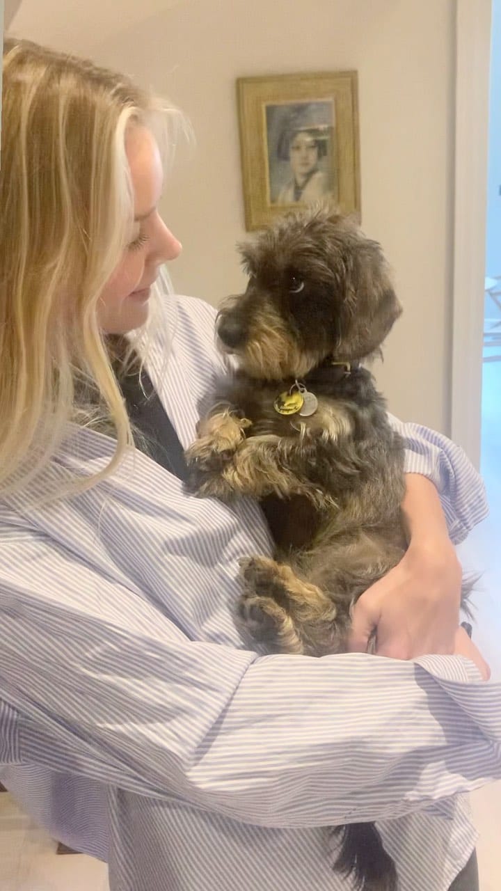 Post 10 by Stan the hot dawg on Instagram (video)