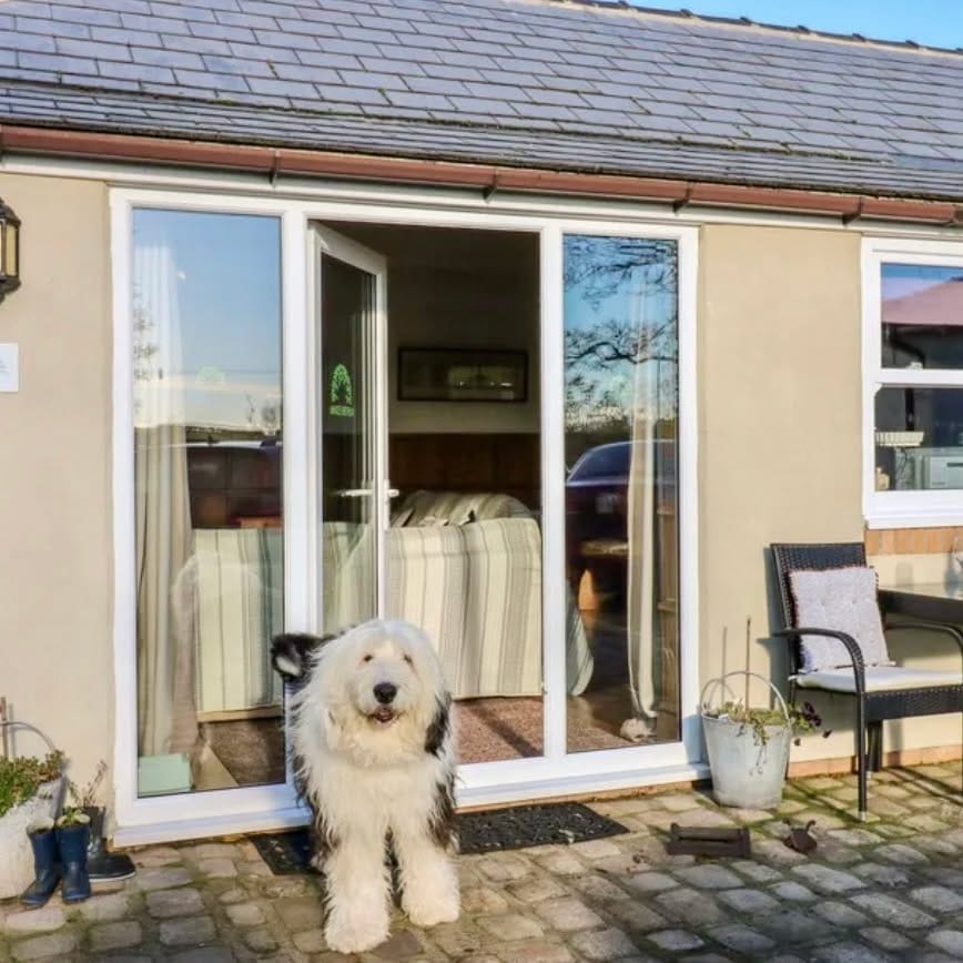 Post 5 by Dog Friendly Retreats on Instagram (image)