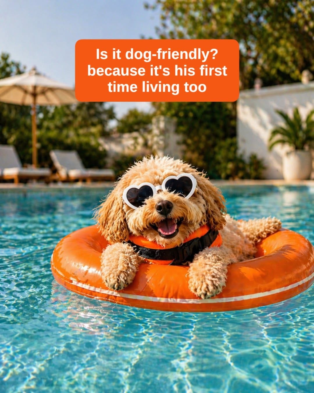 Post 1 by Dog Friendly Retreats on Instagram (image)