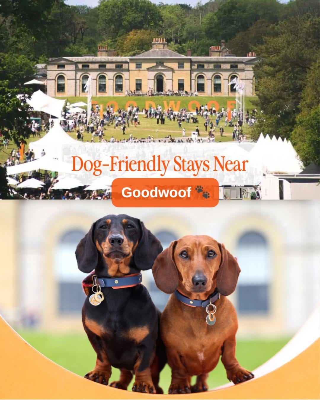 Post 10 by Dog Friendly Retreats on Instagram (carousel)