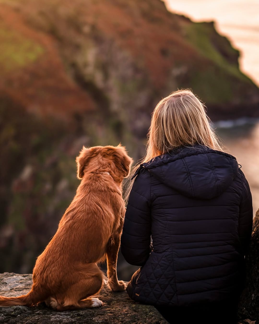 Post 7 by Dog Friendly Retreats on Instagram (carousel)